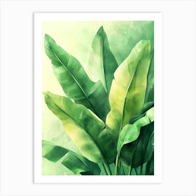 Watercolor Tropical Leaves Affiche