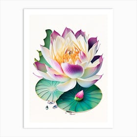 Blooming Lotus Flower In Lake Decoupage 3 Art Print