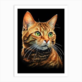 Tabby Cat Art Print