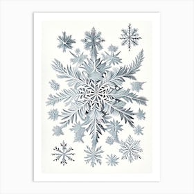 Irregular Snowflakes, Snowflakes, Vintage Botanical Illustration 3 Art Print