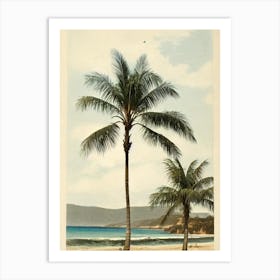 Freshwater Beach Australia Vintage Art Print