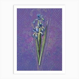 Vintage Blue Iris Botanical Illustration on Veri Peri n.0488 Art Print