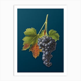 Vintage Raisin Grape Botanical Art on Teal Blue n.0727 Art Print