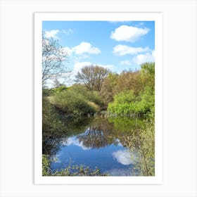 Reflection in a Pond Art Print