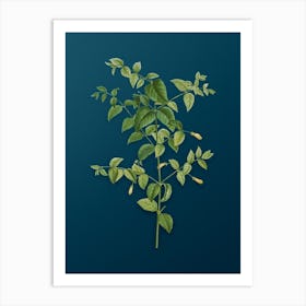 Vintage Tree Fuchsia Botanical Art on Teal Blue n.0120 Art Print