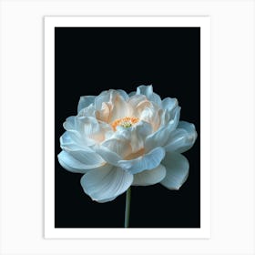 Lotus Flower Art Print