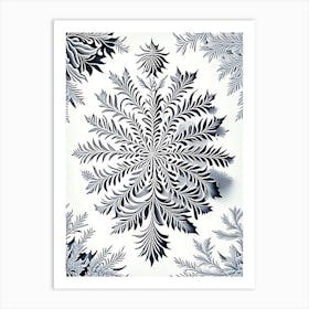 Pattern, Snowflakes, Vintage Botanical Illustration 1 Art Print