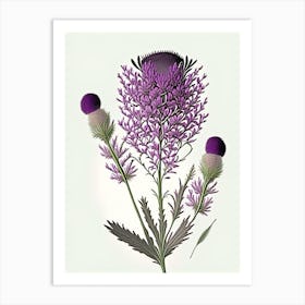 Purple Prairie Clover Wildflower Vintage Botanical Art Print