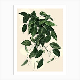 Wandering Jew Plant Minimalist Illustration 3 Art Print