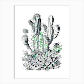 Notocactus Cactus William Morris Inspired 2 Art Print