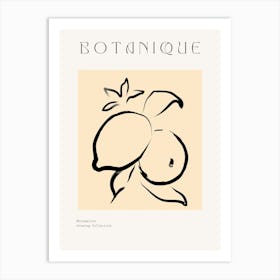 Botanique 1 Art Print