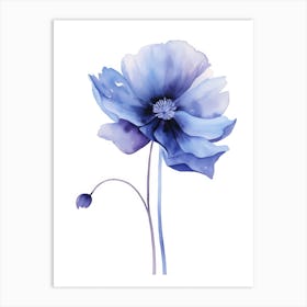 Blue Poppy Watercolor Painting Art Print