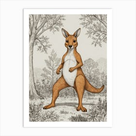 Kangaroo 13 Art Print