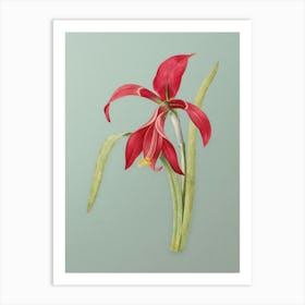 Vintage Amaryllis Botanical Art on Mint Green n.0234 Art Print