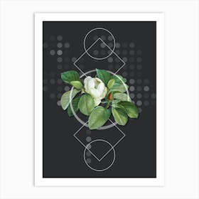 Vintage Magnolia Elegans Botanical with Geometric Line Motif and Dot Pattern n.0015 Art Print