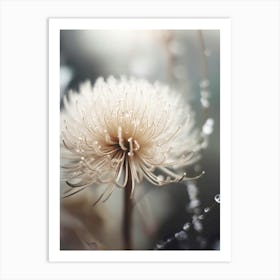 Pastel Nature Macro No 11 Art Print