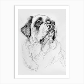 St Bernard Dog Charcoal Line 1 Art Print