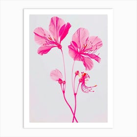 Hot Pink Peacock Flower 2 Art Print