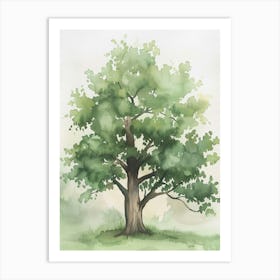 Pecan Tree Atmospheric Watercolour Painting 4 Art Print