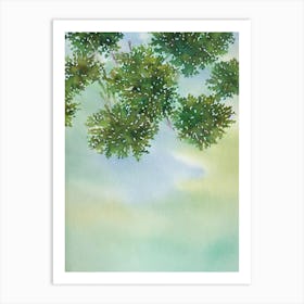 Acropora Cytherea Iiii Storybook Watercolour Art Print