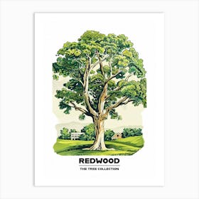 Redwood Tree Storybook Illustration 2 Poster Art Print