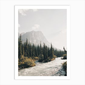 Mountain Creek Art Print