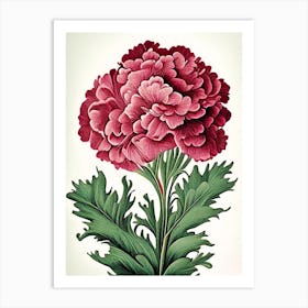 Carnation 2 Floral Botanical Vintage Poster Flower Art Print