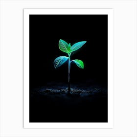 Young Plant In The Dark 6 Art Print