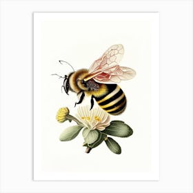 Pollinator Bee 8 Vintage Art Print