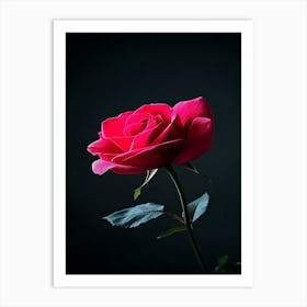 Rose On Black Background 15 Art Print