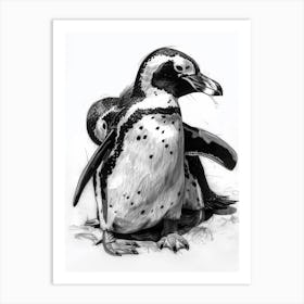 African Penguin Grooming Their Feathers 4 Art Print