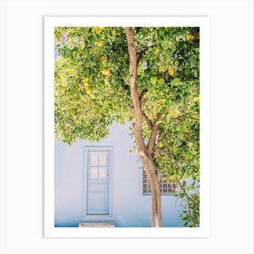 Blue House Lemon Tree Art Print