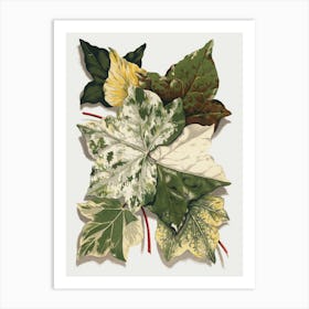 Ivy Leaves Art Print