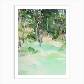 Amboró National Park Bolivia Water Colour Poster Art Print