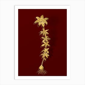 Vintage Wood Lily Botanical in Gold on Red n.0023 Art Print