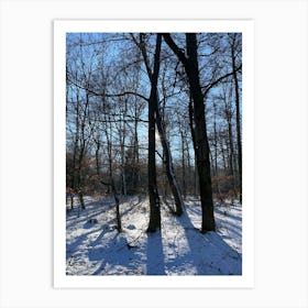 Winter In The Woods 7 Art Print