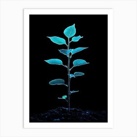 Small Green Plant On Black Background 18 Art Print