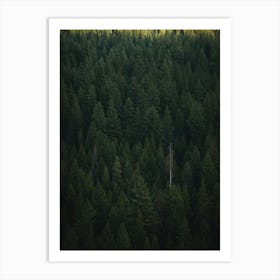 Green Forest Wall Art Art Print