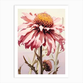 Floral Illustration Gaillardia 1 Art Print