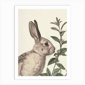 Florida White Blockprint Rabbit Illustration 6 Art Print