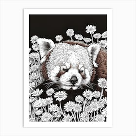 Red Panda Resting In A Field Of Daisies Ink Illustration 3 Art Print