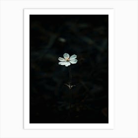 Single Flower In The Dark 34 Art Print