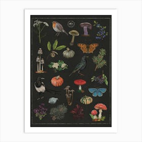 Autumn Fall Botanical Witchcore Art Print Art Print