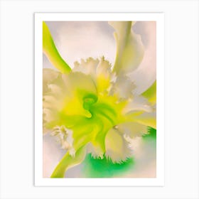 Georgia OKeeffe - An Orchid. 1941 1 Art Print