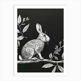 Himalayan Rabbit Minimalist Illustration 4 Art Print