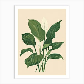 Hosta Plant Minimalist Illustration 6 Art Print