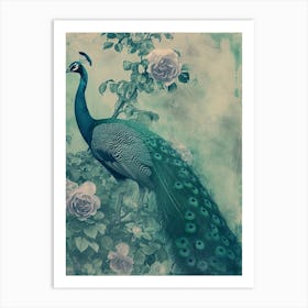 Turquoise Peacock With Roses Cyanotype Inspired  3 Art Print