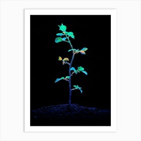 Plant Growing In The Dark 7 Art Print