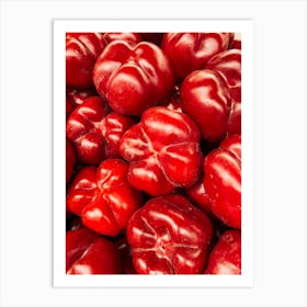 Paprika Love Art Print