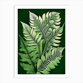 Soft Shield Fern 4 Vintage Botanical Poster Art Print